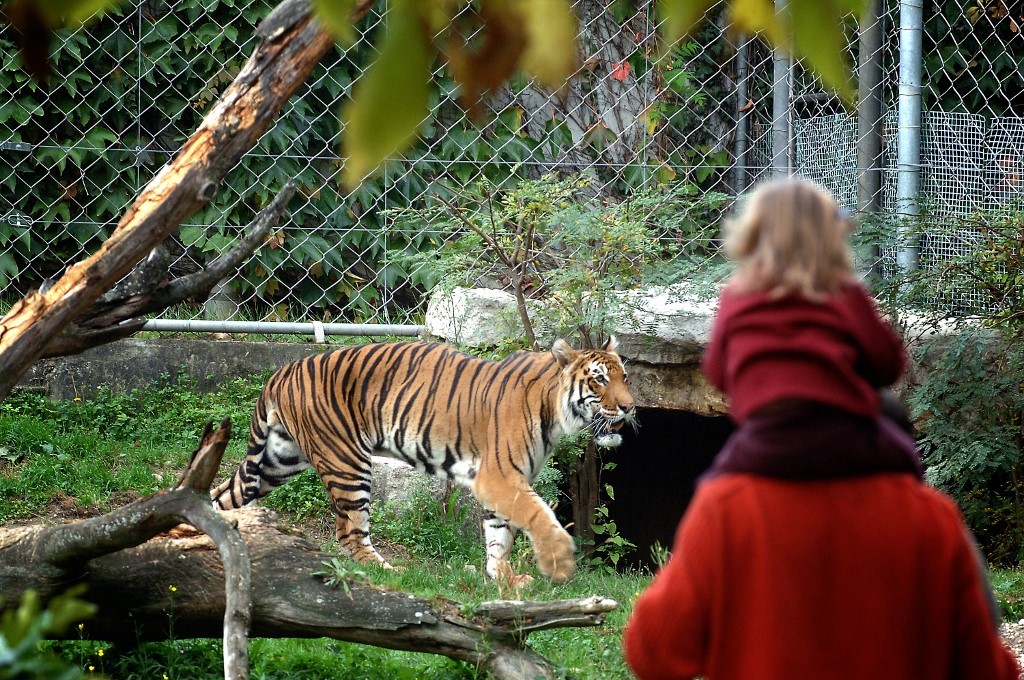 Lyon: le zoo et le jardin botanique du parc de la Tête d'Or rouvrent samedi
